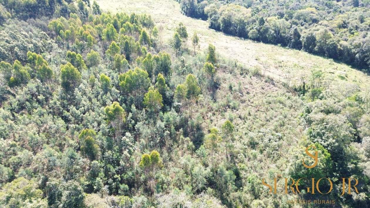Loteamento e Condomínio, 5 hectares - Foto 13