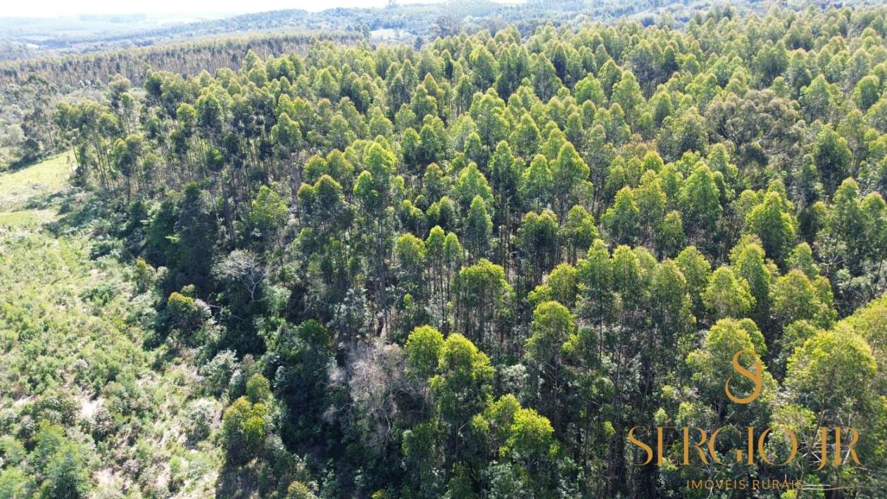 Loteamento e Condomínio, 5 hectares - Foto 14