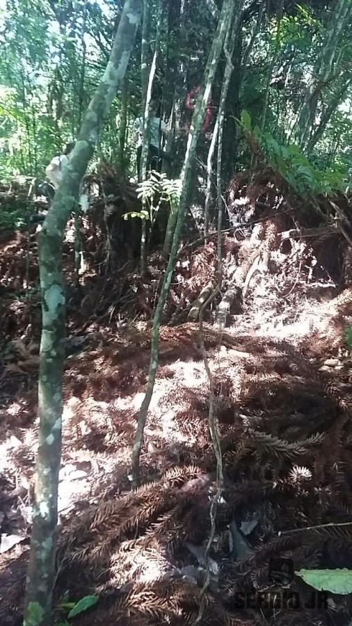 Loteamento e Condomínio, 19 hectares - Foto 6