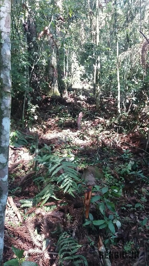 Loteamento e Condomínio, 19 hectares - Foto 7