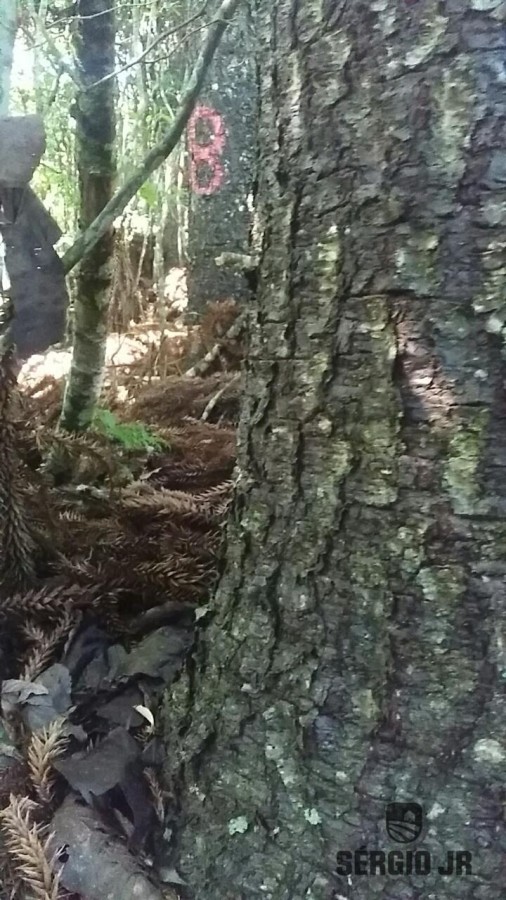 Loteamento e Condomínio, 19 hectares - Foto 8
