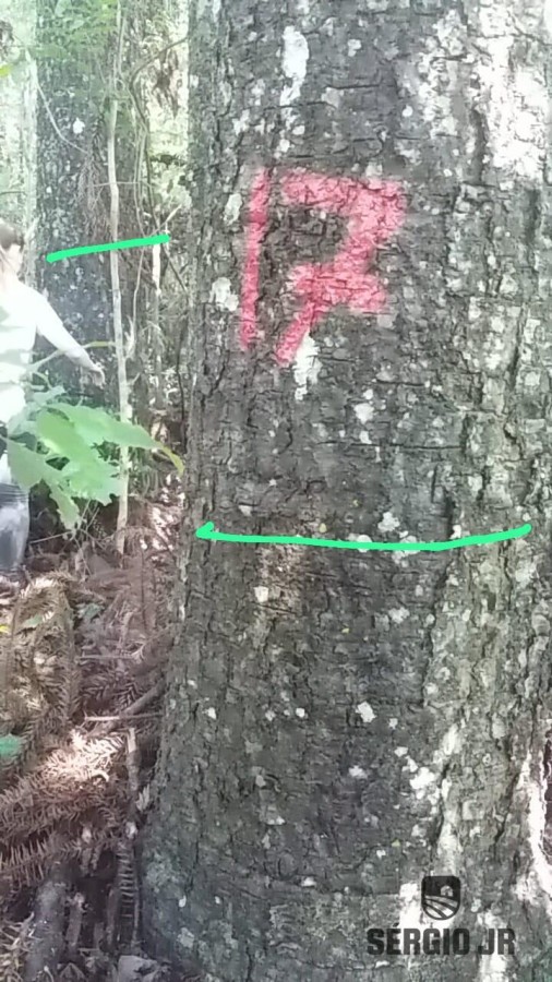 Loteamento e Condomínio, 19 hectares - Foto 9