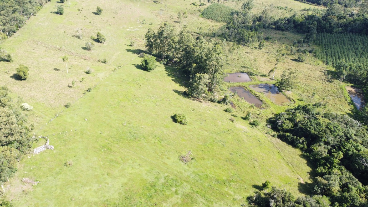 Loteamento e Condomínio, 3 hectares - Foto 1