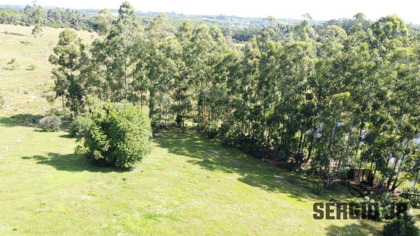 Loteamento e Condomínio, 3 hectares - Foto 9