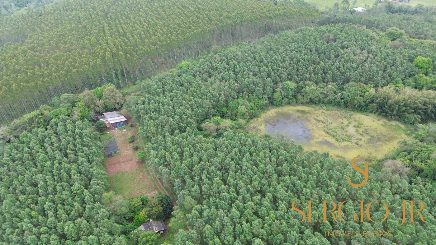 Chácara, 6 quartos, 16 hectares - Foto 2