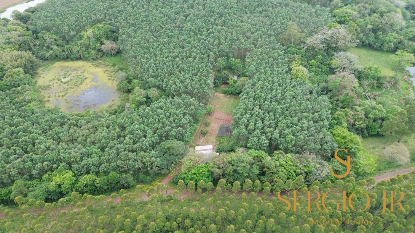 Chácara, 6 quartos, 16 hectares - Foto 3