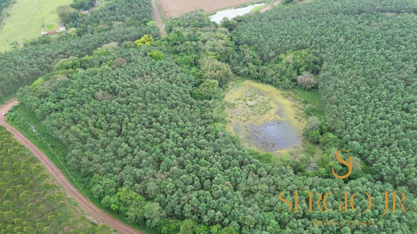 Chácara, 6 quartos, 16 hectares - Foto 4