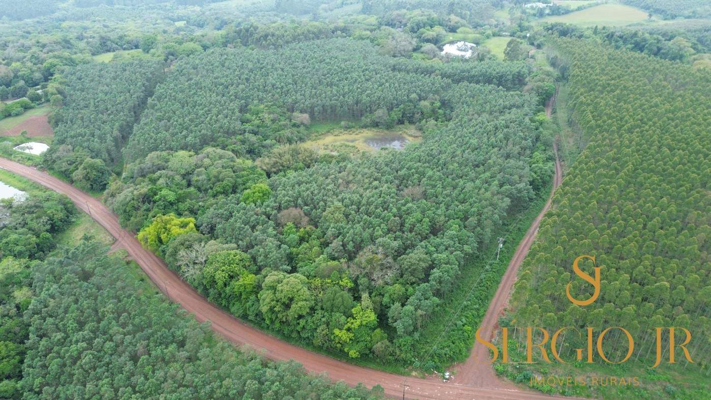 Chácara, 6 quartos, 16 hectares - Foto 1