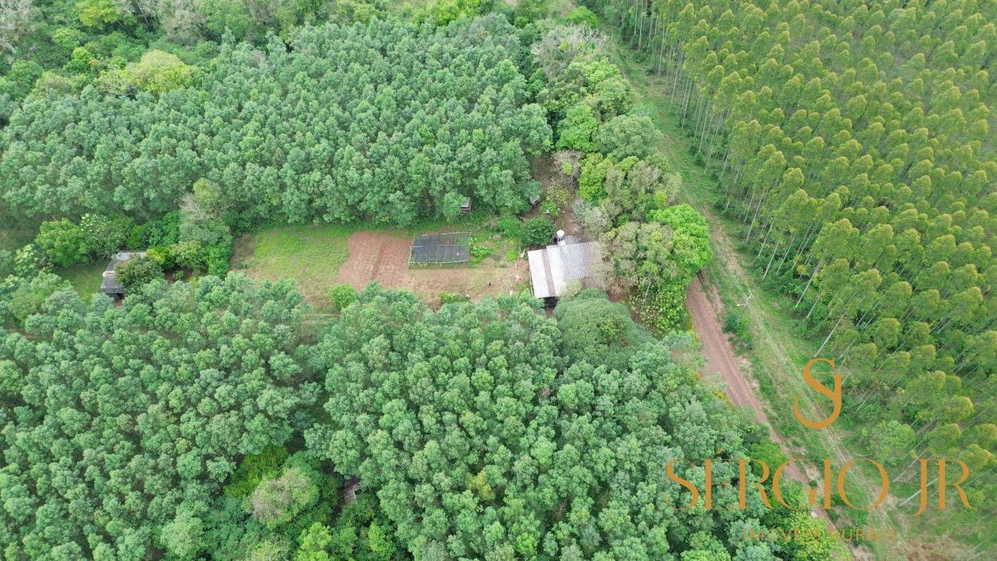 Chácara, 6 quartos, 16 hectares - Foto 6