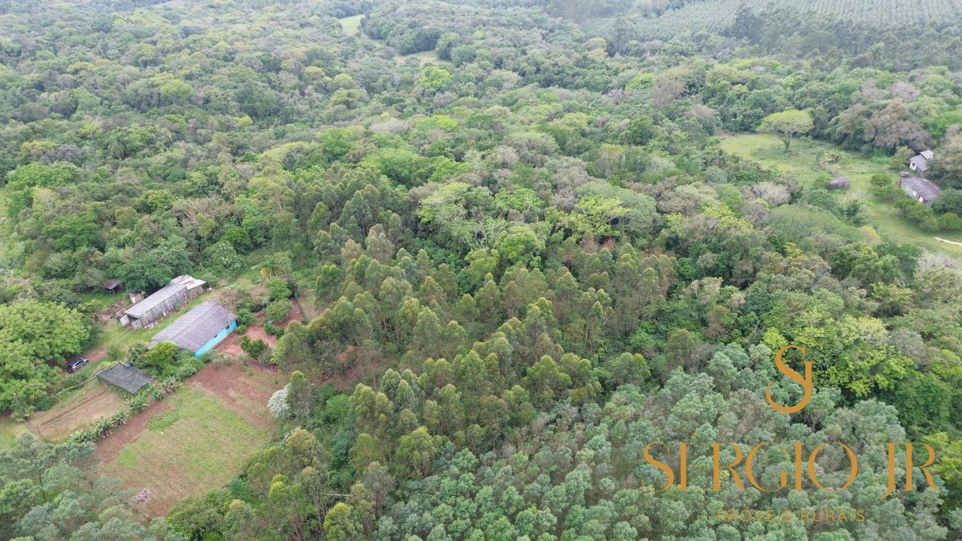 Chácara, 6 quartos, 16 hectares - Foto 7