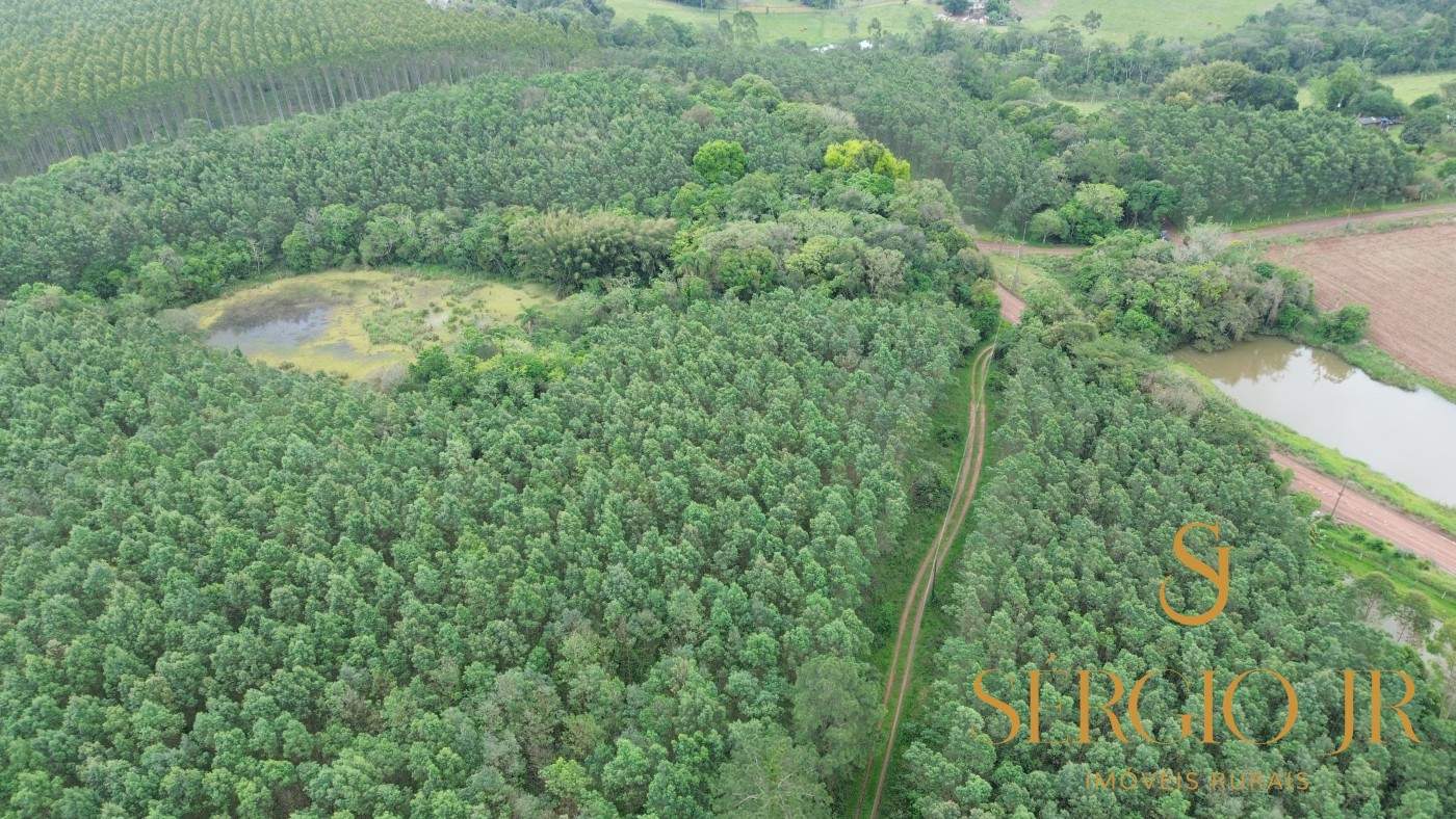 Chácara, 6 quartos, 16 hectares - Foto 10
