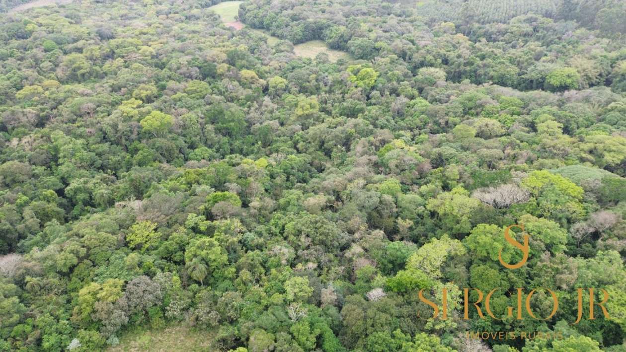 Chácara, 6 quartos, 16 hectares - Foto 12