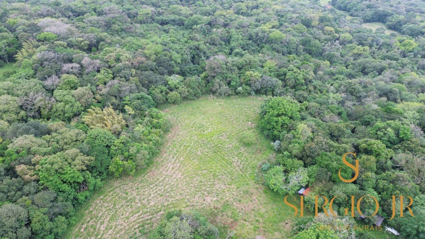 Chácara, 6 quartos, 16 hectares - Foto 11