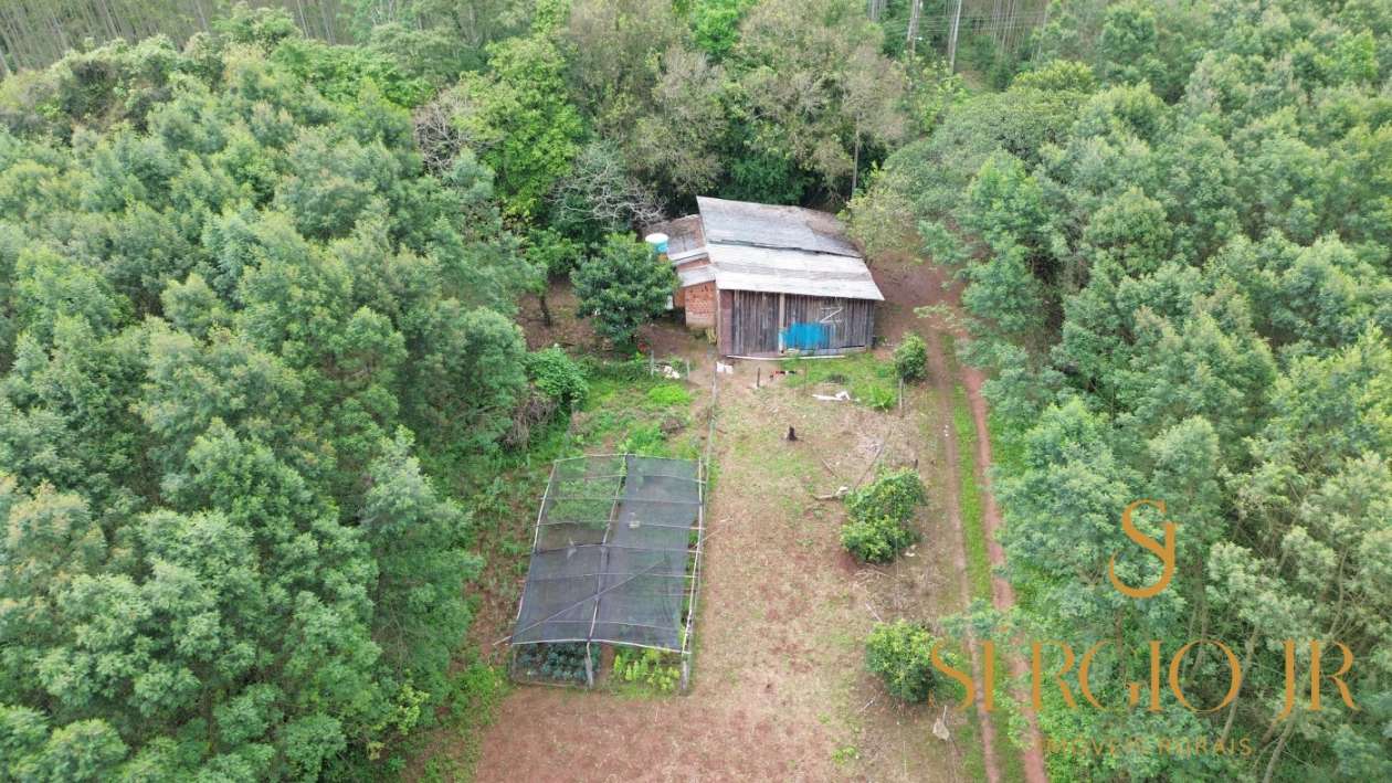 Chácara, 6 quartos, 16 hectares - Foto 13