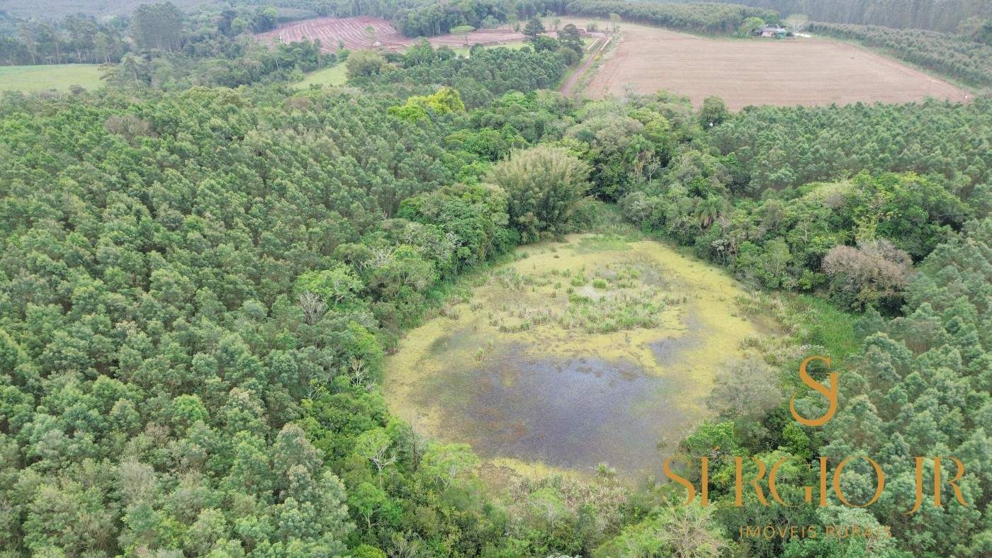 Chácara, 6 quartos, 16 hectares - Foto 15