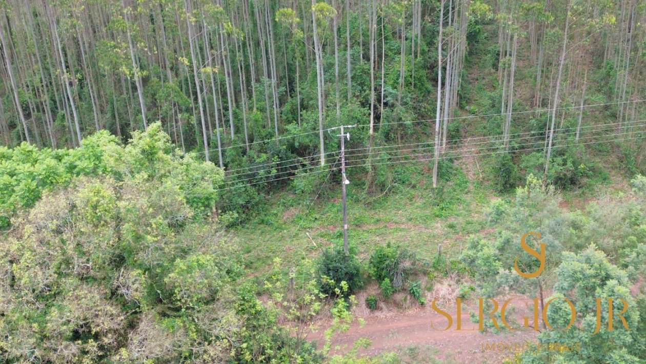 Chácara, 6 quartos, 16 hectares - Foto 14