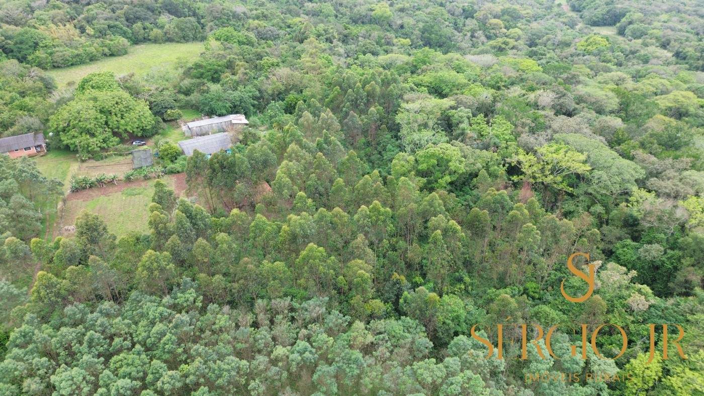 Chácara, 6 quartos, 16 hectares - Foto 16