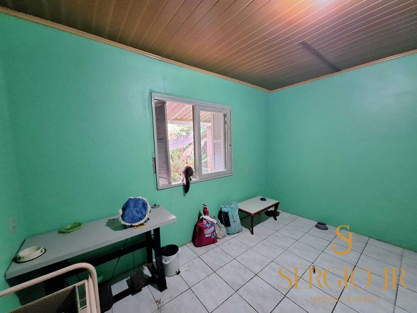Chácara, 6 quartos, 16 hectares - Foto 19