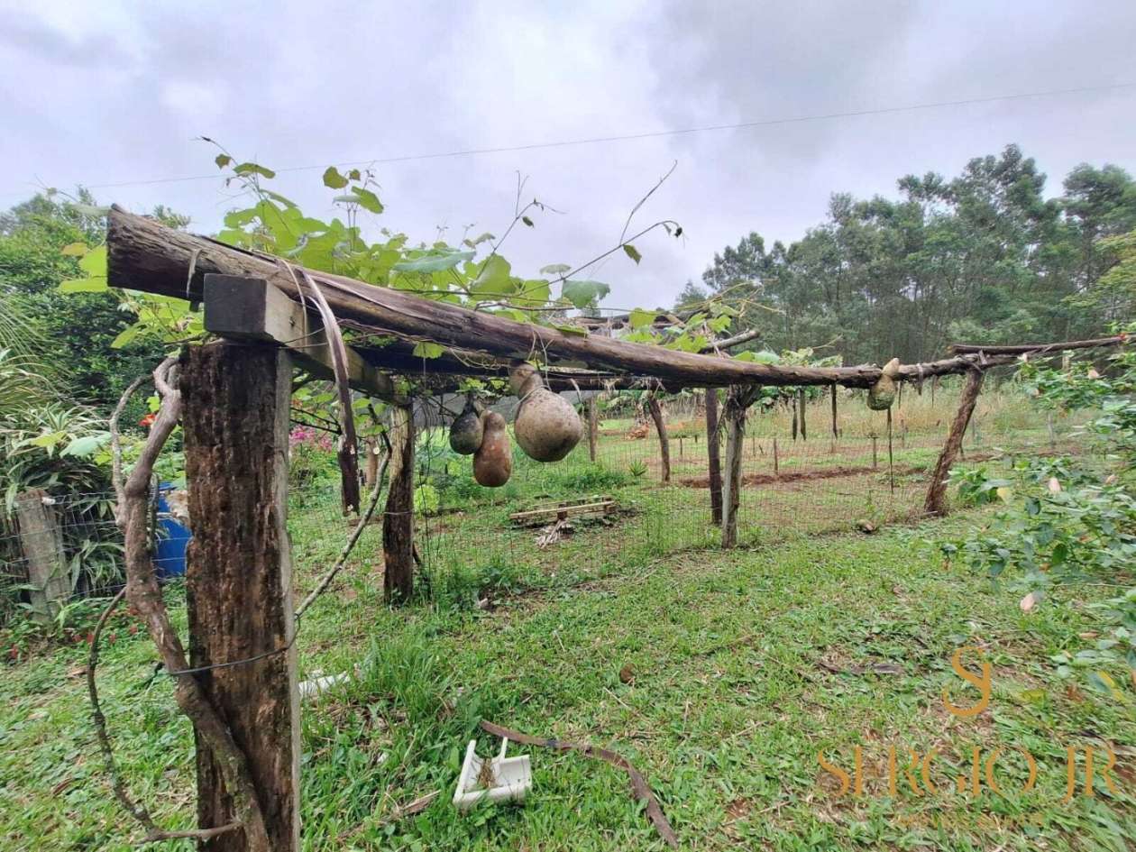 Chácara, 6 quartos, 16 hectares - Foto 24