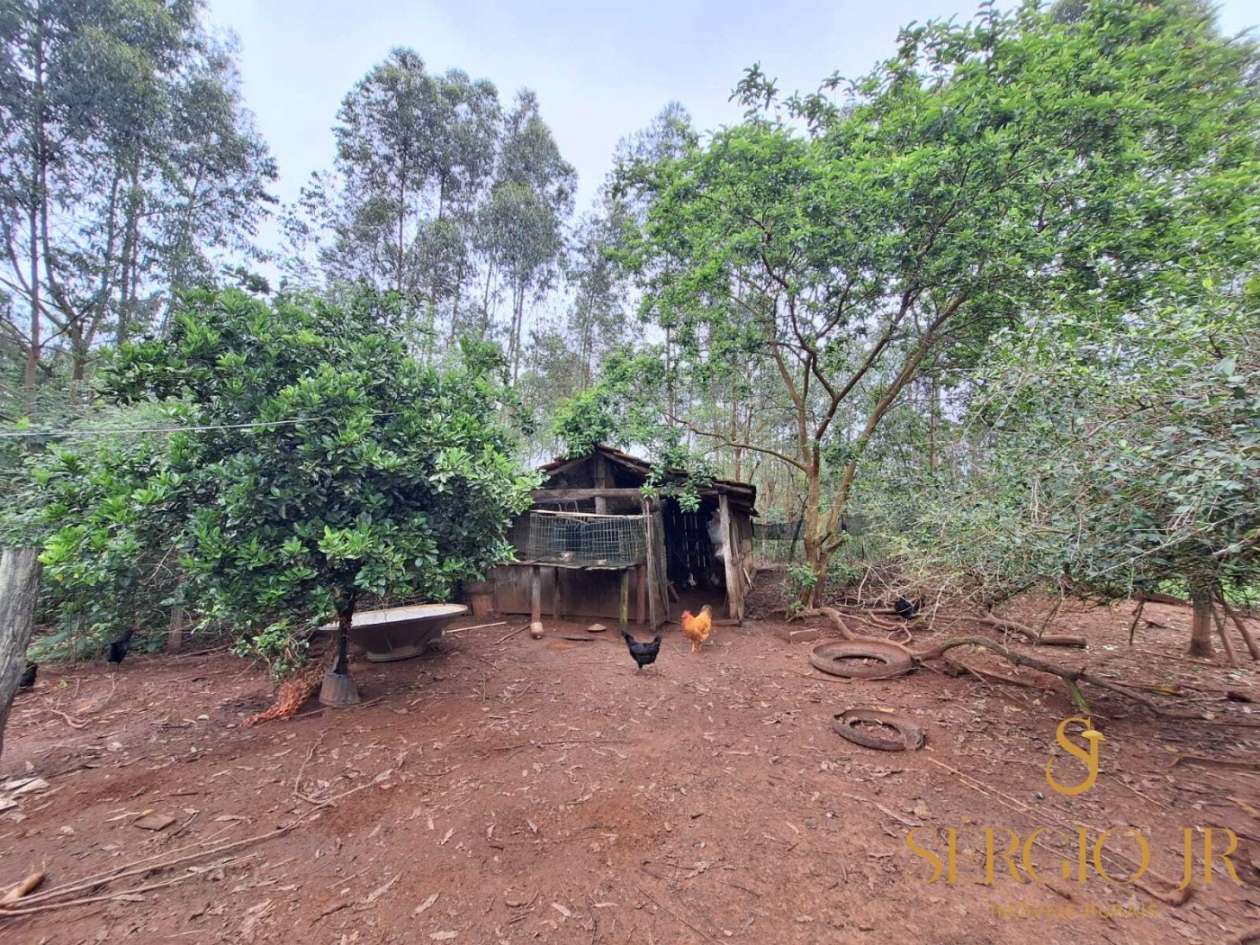 Chácara, 6 quartos, 16 hectares - Foto 26