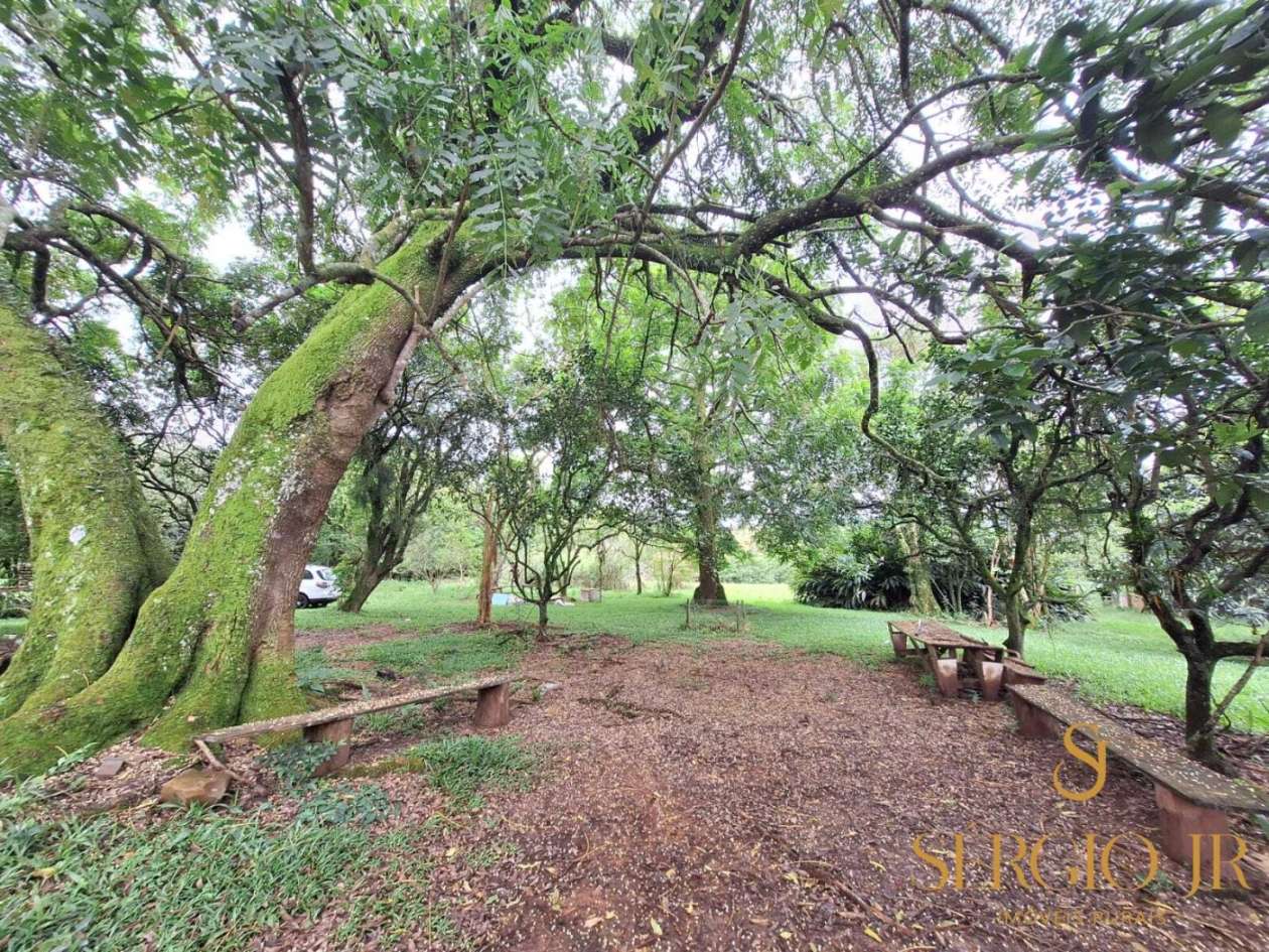 Chácara, 6 quartos, 16 hectares - Foto 27