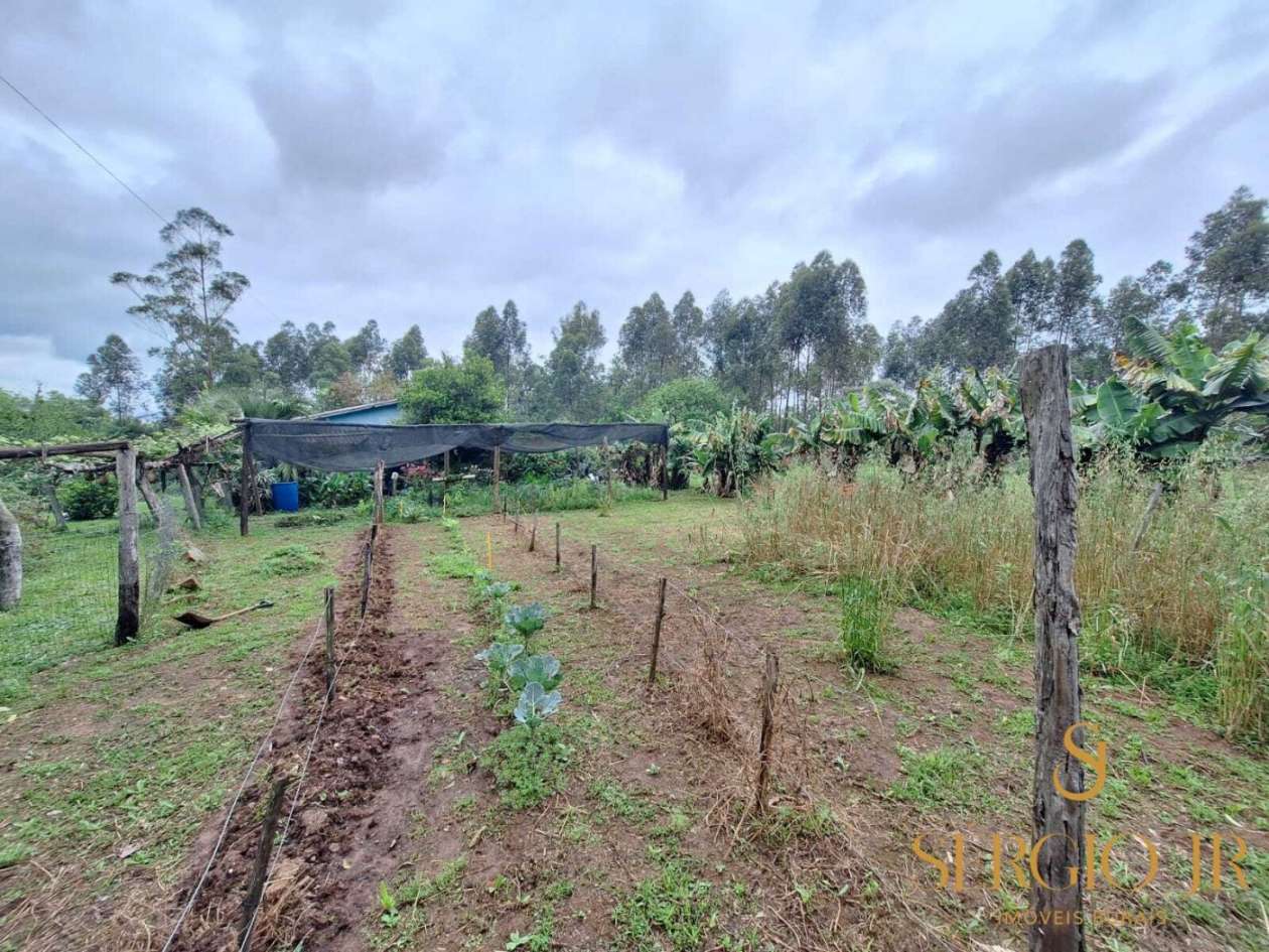 Chácara, 6 quartos, 16 hectares - Foto 28