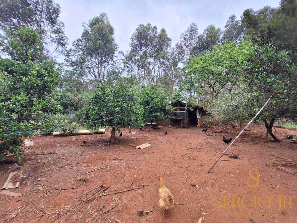 Chácara, 6 quartos, 16 hectares - Foto 29
