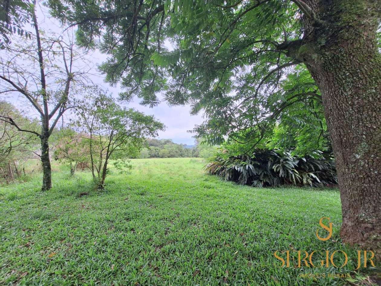 Chácara, 6 quartos, 16 hectares - Foto 32