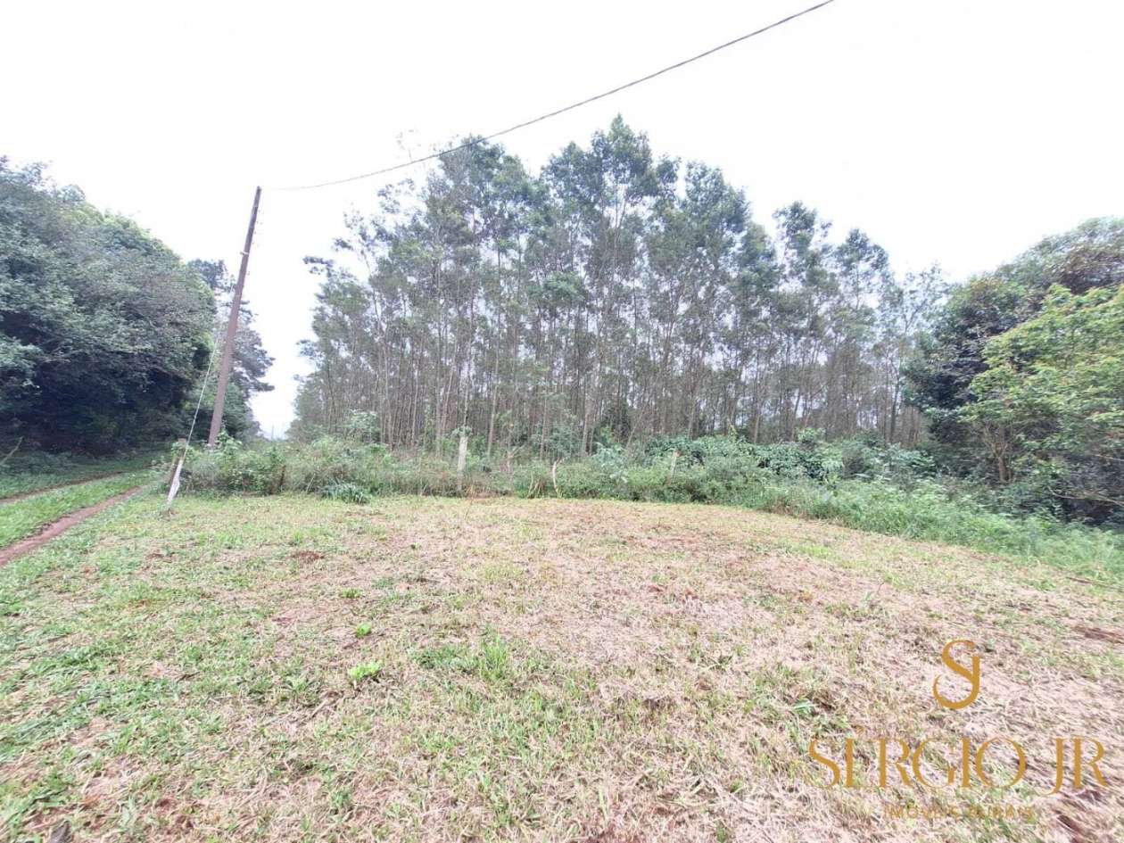 Chácara, 6 quartos, 16 hectares - Foto 33