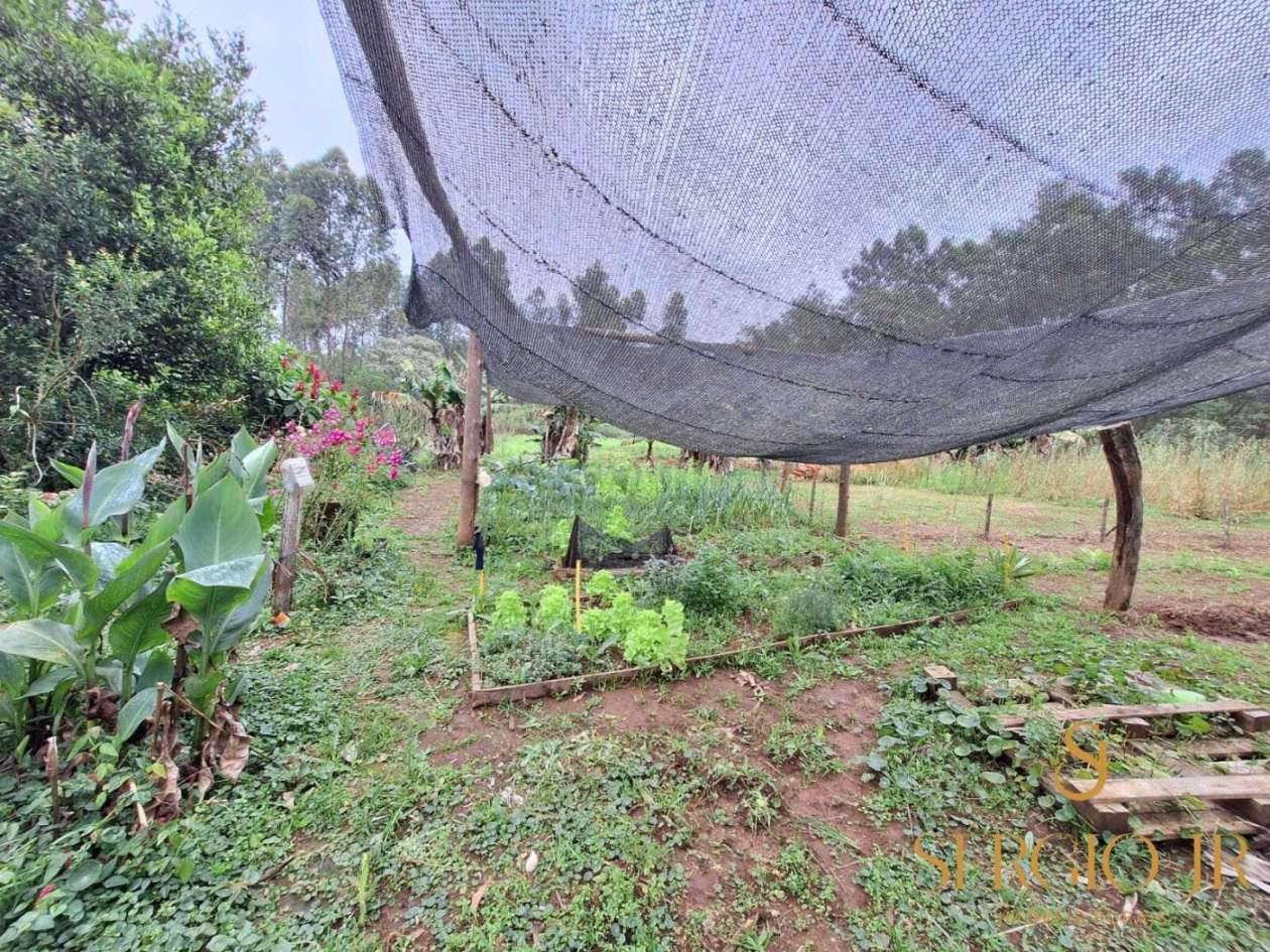 Chácara, 6 quartos, 16 hectares - Foto 34